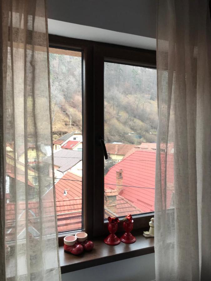 Villa Casa Mountain View Brașov Exterior foto