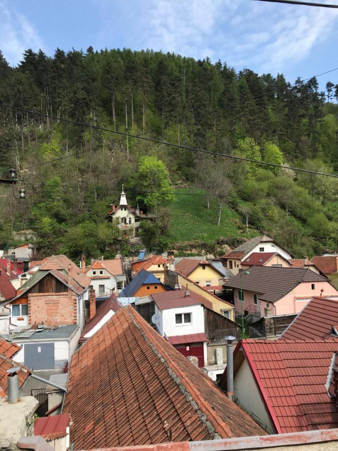 Villa Casa Mountain View Brașov Exterior foto